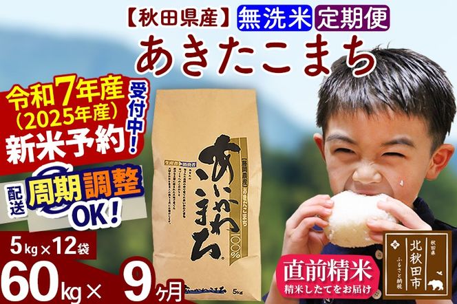 ※令和7年産 新米予約※《定期便9ヶ月》秋田県産 あきたこまち 60kg【無洗米】(5kg小分け袋) 2025年産 お届け周期調整可能 隔月に調整OK お米 藤岡農産|foap-31309