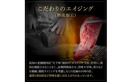 土佐和牛 特選スネ肉煮込み角切り500g 田野屋銀象完全天日塩1P付き 長期熟成肉 田野屋銀象 完全天日塩付き スネ肉 煮込み 角切り 肉 お肉 和牛 牛肉 国産 牛【株式会社LATERAL】 [BQAU045]