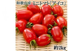 【2026年12月出荷分】和歌山産ミニトマト「アイコトマト」約2kg（S・Mサイズおまかせ）