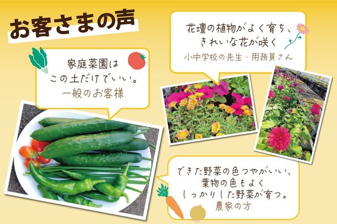 培養土 10L 3袋 計 30L [大地商会 宮崎県 日向市 452061633] 軽い ふかふか 植物 観葉植物 ガーデニング 園芸 家庭菜園 花 培養 土 鉢植え キッチンガーデン 花壇 畑