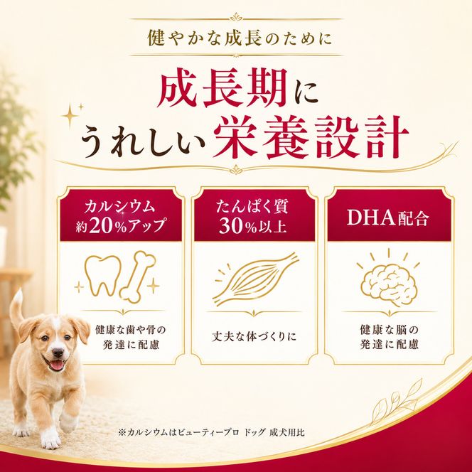 ビューティープロ ドッグ 子犬用 12ヵ月頃まで 2.5kg ｘ4(ケース単位) ドッグフード