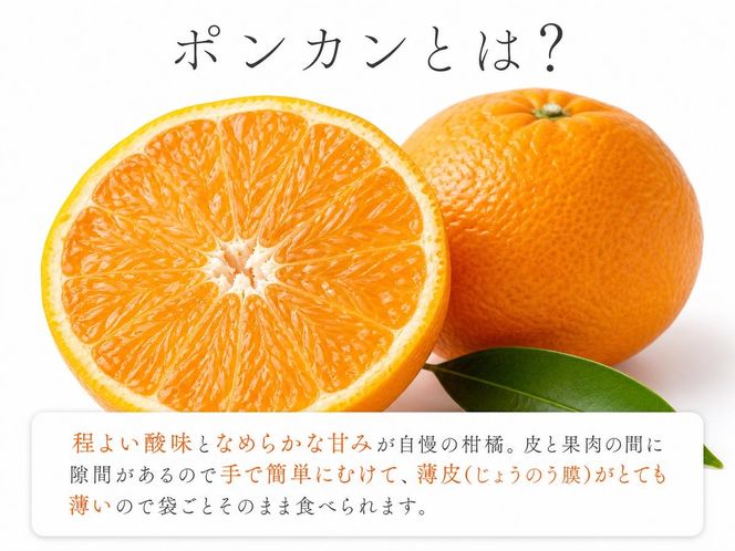 紀州和歌山有田産ポンカン 5kg