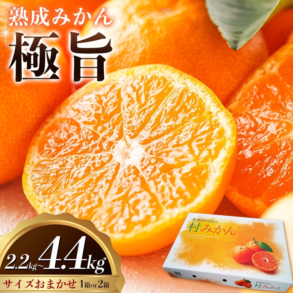 [CF][先行予約] 熟成みかん『極旨』1箱[配送不可地域あり]※離島 [2月初旬-2月末頃出荷予定]みかん ミカン 蜜柑 mikan 柑橘 佐那河内 さなごうち 徳島県 箱入り 化粧箱 S M L フルーツ 果物 くだもの 贈答 進物 ---sanagouchi_hhn_3_1hk---
