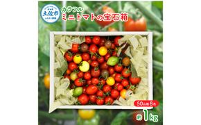 【先行予約】カラフルミニトマトの宝石箱（約1kg） 〈2026年12月下旬から順次発送〉トマト ミニトマト とまと カラフルミニトマト 詰め合わせ カラフル トマト とまと 美味しい 野菜 高知県産 高知県 土佐市【ファーム輝】 [BQBM006]