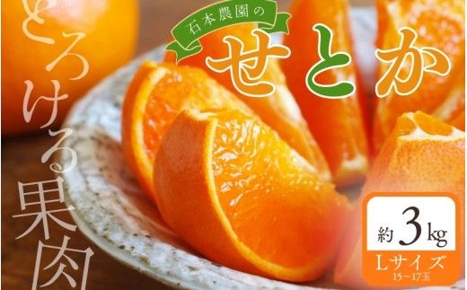 [先行予約]Lサイズ 15〜17玉 石本農園のハウスせとか 約3kg [2027年2月中旬〜下旬に順次発送予定][mis022]