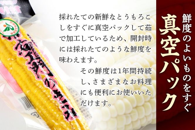 とうもろこし（レトルト真空パック）「市右エ門のきみ」みらい 6本セット（大きいサイズ）|ymdf-00011