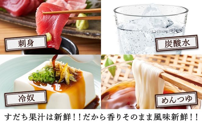 爽快！100%すだち果汁　300ml 《30日以内に出荷予定(土日祝除く)》 ---sanagouchi_jat_4_300ml---