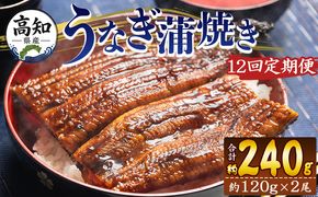 うなぎ 定期便 国産 うなぎ 定期便 100g～120g 2尾 12回 蒲焼き 高知県産 養殖 魚介 国産 海鮮 魚 かばやき 鰻 ウナギ 惣菜 おかず お手軽 加工品 加工食品 冷凍 Wfb-0040
