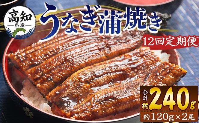 うなぎ 定期便 国産 うなぎ 定期便 100g～120g 2尾 12回 蒲焼き 高知県産 養殖 魚介 国産 海鮮 魚 かばやき 鰻 ウナギ 惣菜 おかず お手軽 加工品 加工食品 冷凍 Wfb-0040