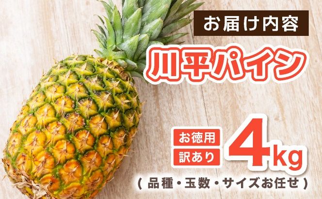 【2026年7月以降順次発送】川平パイン お徳用訳あり4kg ( 品種・玉数・サイズお任せ ) KN-6