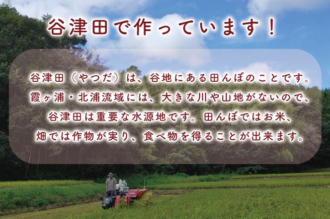 K-14-1　ぼたもち2個＋生クリーム大福10個＋草もち10個＋バタどら5個セット