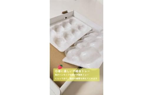 鳥取産苺「あきひめ」大粒詰め合わせ【苺工房たけうち】 312011_BE002