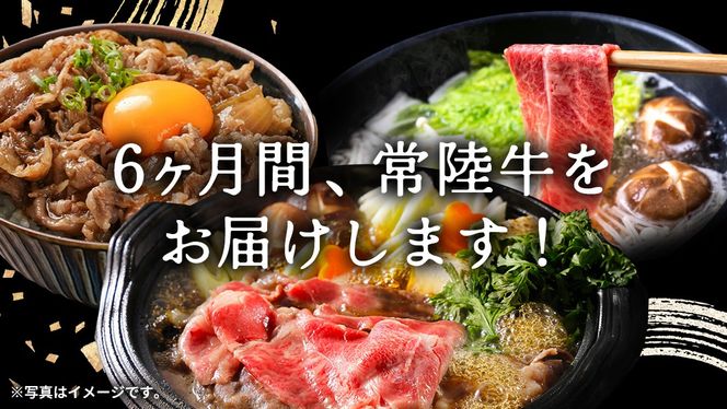 ＼ 選べるスタート月 ／【 定期便 全6回 】 常陸牛 人気 6ヶ月 堪能セット 牛肉 肉 お肉 国産 国産牛 赤身 切り落とし すき焼き しゃぶしゃぶ サーロインステーキ ステーキ カルビ 焼肉 焼き肉 和牛 黒毛和牛 (茨城県共通返礼品) [ BX19-56-NT ]