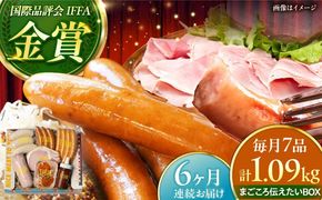 【全6回定期便】TESIOの自家製ハム＆ソーセージ 『まごころ伝えたいBOX』 豚肉 ハム ソーセージ 小分け 真空パック 沖縄市 / TESIO[BCAD014]