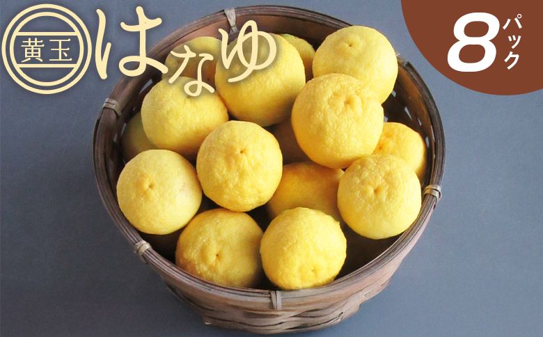 虎弥太郎 はなゆ黄玉 8パック - 国産 ゆず 柚子 ユズ 花柚子 柑橘 香酸柑橘 果物 花皮果汁 フルーツ 果実 料理 酒 ハイボール 焼酎 アレンジ 焼き魚 小分け おすそ分け 高知県 香南市 冷蔵 hy-0003