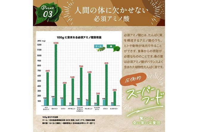 a933 さつま桑茶10袋セット【わくわく園】桑の葉 桑 桑茶 国産 高級品種 センシン