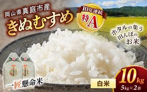 令和7年産 真庭市産 きぬむすめ 白米 10kg / お米 国産 岡山県 米 人気 ブランド 2025年産 【tkns006-01-cho】