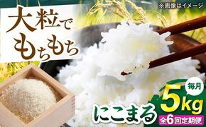 【全6回定期便】 にこまる 玄米品質1等米 白米 5kg 糸島市産 糸島市 / 糸島の恵み コメ こめ ご飯[AGR009]