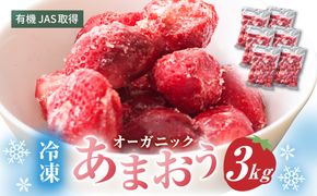 オーガニック冷凍あまおう 「いせいちご」 3kg (500g×6パック)【伊世いちご畑】_HA1317