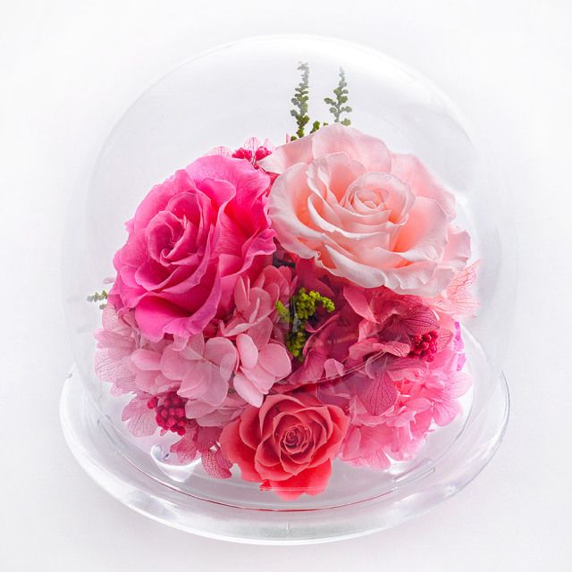 ガラスドームL 花 お花 プリザーブドフラワー ギフト プレゼント お祝い 誕生日 お供え アレンジ インテリア 東京都 墨田区