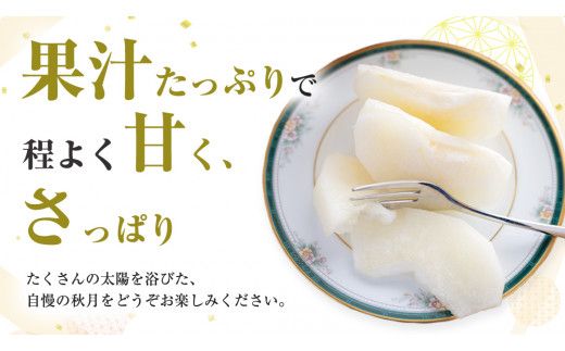 【 2026年9月上旬発送開始 】 茨城県産 梨 秋月 （約 5kg ） 10～14玉 フルーツ 果物 なし ナシ 旬 新鮮 期間限定 甘い 国産 先行予約 [CL004us]