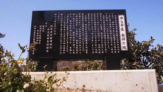 和歌山由良町産 由良早生みかん 約3kg 訳あり キズ 御家庭用 サイズ混合 ※2026年10月～発送