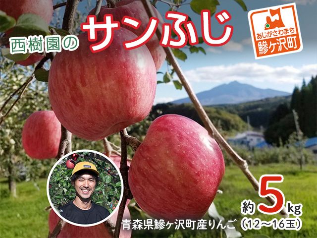 りんご 青森 サンふじ リンゴ 約 5kg (12～16玉) 青森県 鰺ヶ沢町産 西樹園 フルーツ 果物 果物類 白神山地 林檎 サンフジ ふじ