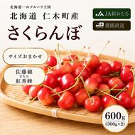 2027年発送北海道 仁木町産  7月旬 さくらんぼ 600g （300g×2） サクランボ チェリー フルーツ 果物 果物類  仁木町 仁木 [JA新おたる]