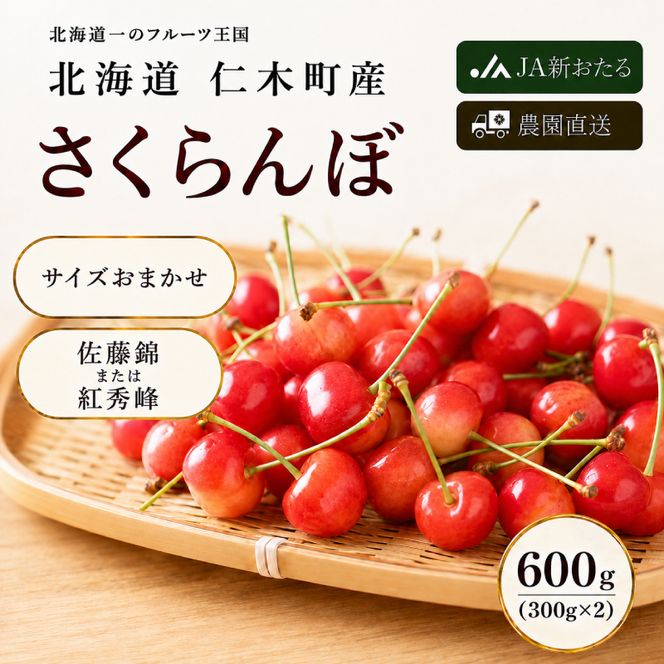 2027年発送北海道 仁木町産  7月旬 さくらんぼ 600g （300g×2） サクランボ チェリー フルーツ 果物 果物類  仁木町 仁木 [JA新おたる]