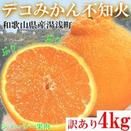 【先行予約】【ご家庭用】和歌山県産 不知火（しらぬい） 約4kg | 柑橘 オレンジ みかん 訳あり 和歌山みかん オレンジ フルーツ 果物 ※北海道・沖縄・離島への配送不可 ※2026年2月下旬～3月下旬頃に順次発送予定