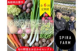 【隔月お届け・全6回定期便】季節の野菜セット10～12品目《栽培期間中 農薬・化学肥料不使用》出雲の畑から旬野菜をお届け［出雲 野菜セット おまかせ 詰め合わせ 送料無料 ふるさと納税］ 322032_FY008
