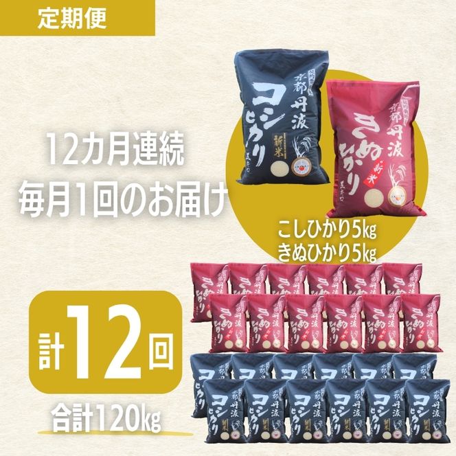 【12カ月定期便】令和7年産 京都丹波産 こしひかり・きぬひかり 食べ比べセット 10kg 合計120kg