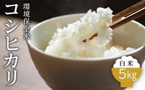 令和7年産 環境保全米 コシヒカリ白米5kg ※2025年10月上旬～2026年3月下旬頃に順次発送予定 ※北海道・沖縄・離島への配送不可