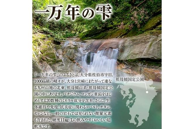 ミネラルウォーター 一万年の雫 軟水 (計12L・500ml×24本) 国産 お水 ミネラル 天然 料理 健康 維持 大分県 佐伯市 防災 常温 常温保存【HD253】【さいき本舗 城下堂】