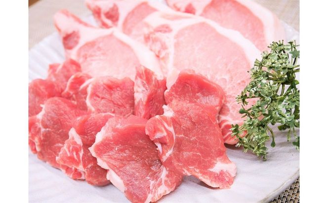 ブランド豚 “三州あおみ豚” 豚カツ用セット 計700g（ロース肉480g＆ヒレカツ用220g） 豚肉 冷凍 H030-021