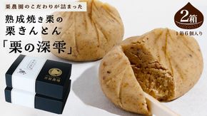 栗きんとん 「 栗の深雫 」 2箱 ～くりのしずく～ 12個 完熟 栗 くり クリ 和菓子 おかし お菓子 贈り物 ギフト 果物 フルーツ 秋 冬 [CX022ci]