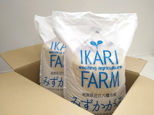 【7年産】冷めても美味しいあっさりとした味わい「みずかがみ」白米【10kg（5kg×2袋）】【C015W1】