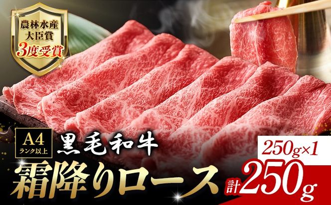 厳選 くまもと黒毛和牛 すき焼き用 霜降りロース 250g《45日以内に出荷予定(土日祝除く)》 熊本県 大津町 和牛焼肉LIEBE くまもと黒毛和牛 リブロース 肩ロース すき焼き 冷蔵 リーベ---so_cliebesus_45d_r7_15000_250g---