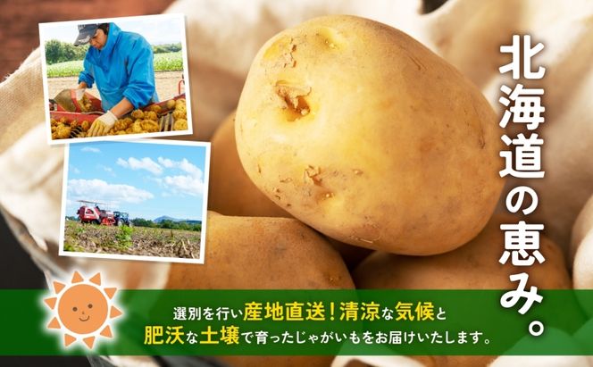 北海道産 青野農園 じゃがいも とうや Lサイズ 約10kg 2026年10月初旬～12月下旬頃お届け 先行予約 北海道 ジャガイモ トウヤ 馬鈴薯 ポテト 芋 いも イモ 黄色 旬 野菜 農作物 産地直送 お取り寄せ 国産 