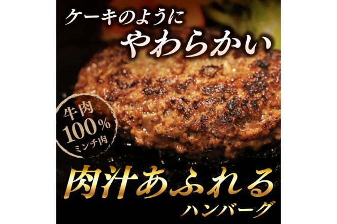 【年末（12月27日～30日）配送】塩で食べるやわらかハンバーグ（デミグラスソース付） NH00042_12e