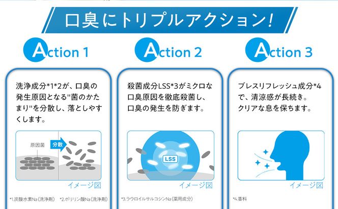 【定期便 毎月 12か月】LION ハミガキセット 142069_CR006