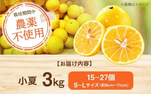 自然栽培小夏 3kg / 柑橘 自然 無農薬 土佐市 【有限会社四万十くじら】 [BQBR016]