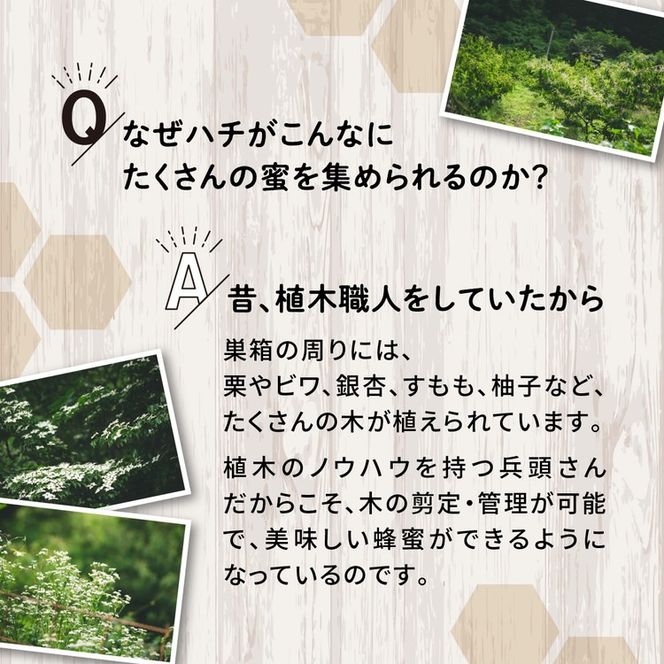 兵頭さん家の国産はちみつ 1瓶（240g 180cc） ｜ 国産 百花蜜 蜂蜜 ハチミツ 深山ミツバチ 研究25年 日本ミツバチ ※離島への配送不可