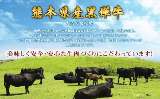 【定期便】黒樺牛 【3回定期便】肉厚サーロインステーキ 約300g 合計約900g お肉 肉 牛肉 ブランド黒毛和牛 和牛 黒毛和牛 ブランド牛 サーロイン ステーキ ロースステーキ 冷凍 国産 九州産 冷凍