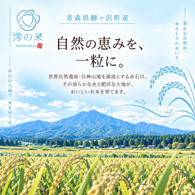 【6回定期便】米 5kg 白米 はれわたり イワモトファーム 青森県産 令和8年産 6ヶ月 定期便 新米 ごはん ご飯 ブランド米 特選米 精米 直送 農家直送 お取り寄せ お米 こめ コメ 白飯 国産 お弁当 もっちり 送料無料