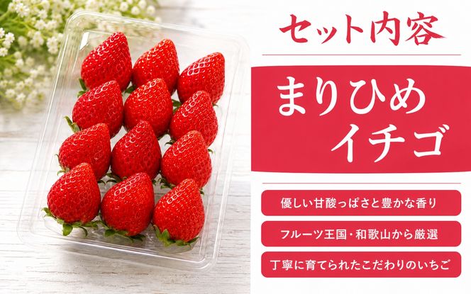 【来シーズン先行予約】紀州和歌山ブランドいちご「まりひめ」約250g×4P　※2027年3月上旬頃～3月下旬頃に順次発送予定（お届け日指定不可）【uot758B】