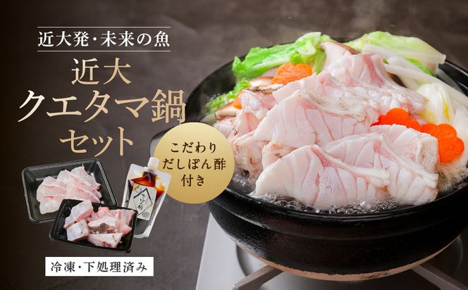 近大クエタマ鍋セット500g（2027年1月下旬～2月上旬発送） 304018_A020