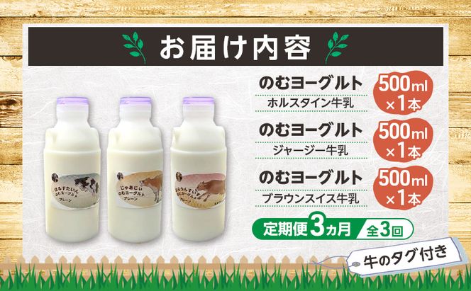 定期便 3ヵ月連続 全3回 のむヨーグルト 生乳100%使用 500ml×3本 北海道産 3種 飲み比べ ホルスタイン ジャージー ブラウンスイス [i・ふぁーむ] 【 飲むヨーグルト 牧場直送 幕別 プレーン 濃厚 牛 朝食 】