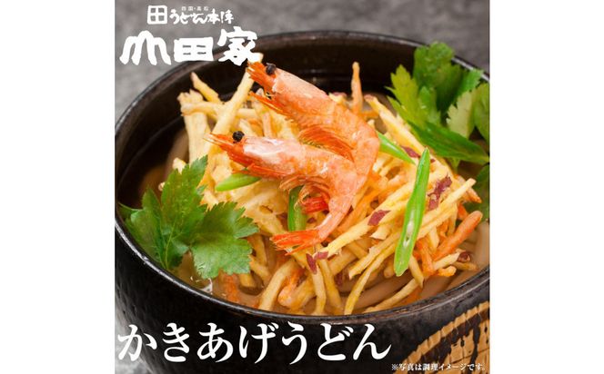 うどん本陣山田家心温まる讃岐の味セット～冷凍讃岐うどん　えび天・きつね・かき揚げセット/10人前（高松市） 372013_AF041