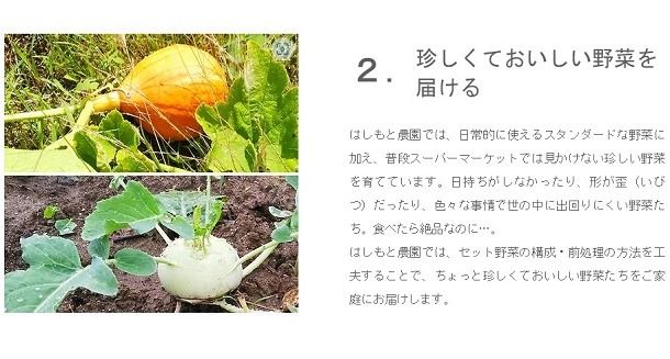 【26-2】伊勢ノ国のがぶっと野菜玉手箱　：　隔週1回定期便（大人4人1週間分）26回